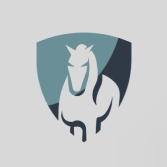 greyfinds28